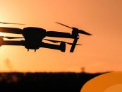 Drones y rastreo satelital: la tecnología del Proyecto Pantano para preservar a una de las especies más amenazadas de la Argentina