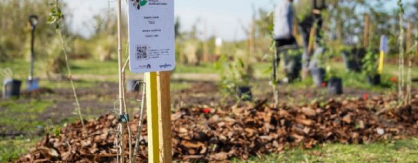 Syngenta inauguró un espacio de biodiversidad en Vicente López
