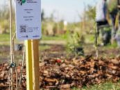 Syngenta inauguró un espacio de biodiversidad en Vicente López