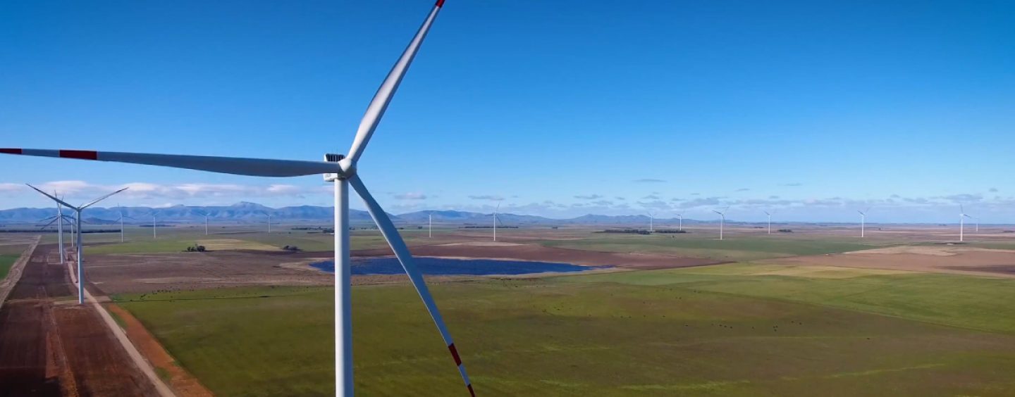 Dow duplicará el uso de energía eólica en su planta de Bahía Blanca