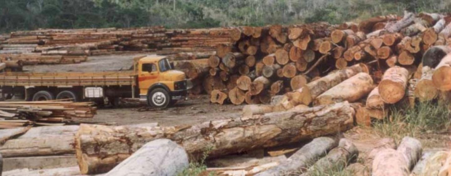 Una app móvil para el control de tráfico de maderas