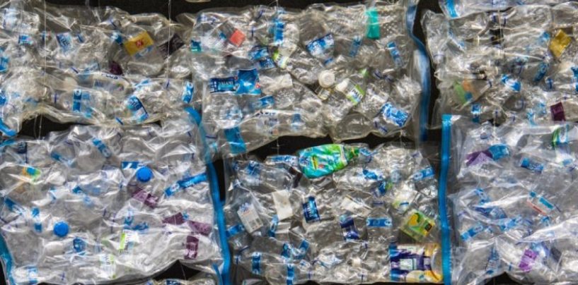 Crean la primera certificación de contenido de plástico reciclado en productos de Argentina