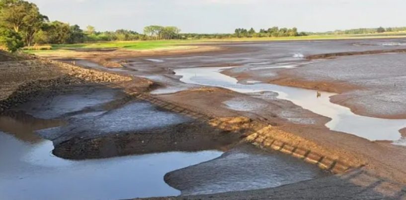 Crisis hídrica en Uruguay: siete consejos para cuidar el agua