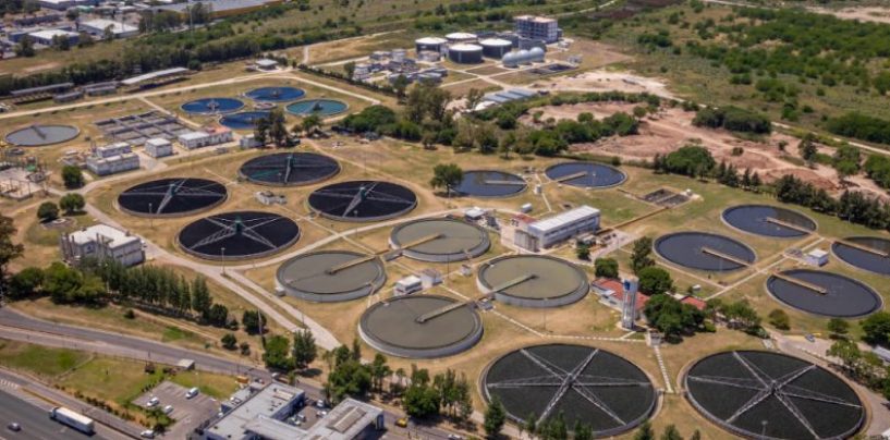 Crean la primera planta de tratamiento del líquido cloacal con microalgas en Argentina