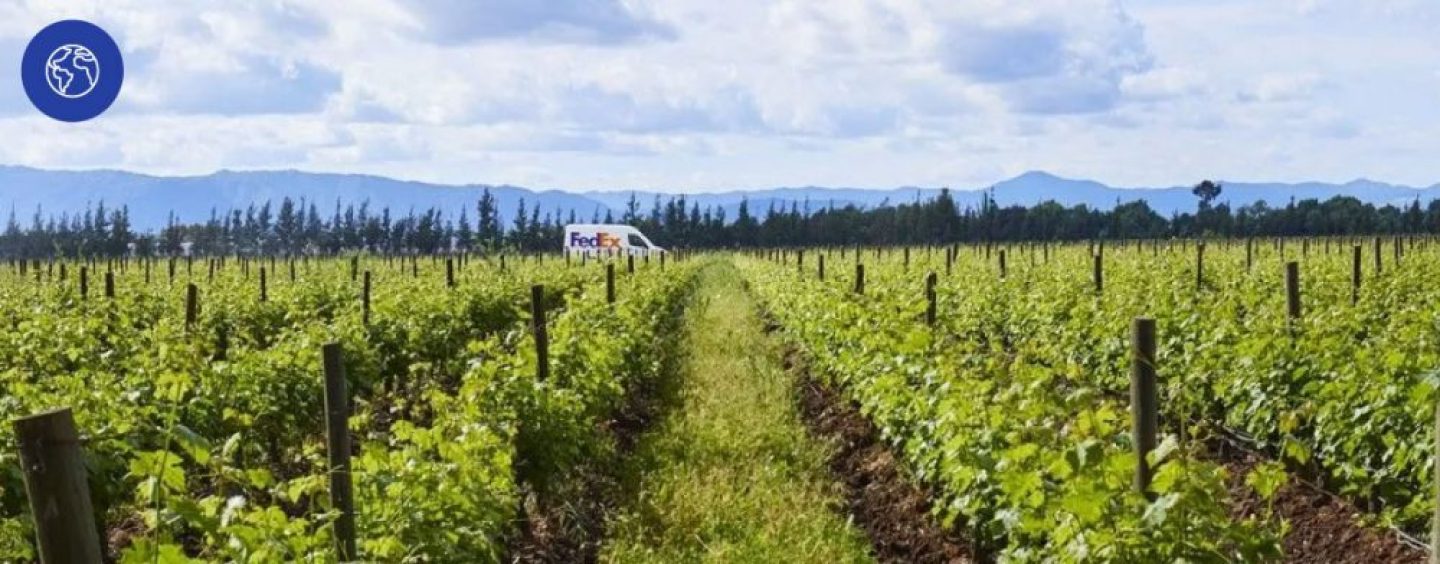 FedEx Express: soluciones sostenibles para la industria del vino argentino