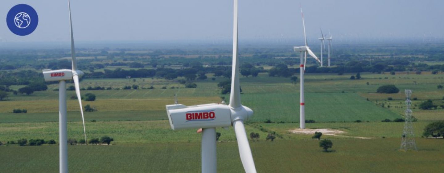 Grupo Bimbo avanza hacia las cero emisiones netas de carbono