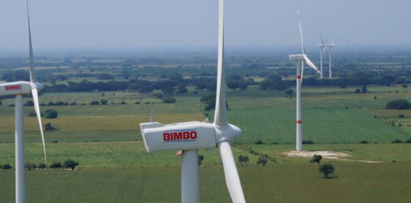 Grupo Bimbo avanza hacia las cero emisiones netas de carbono