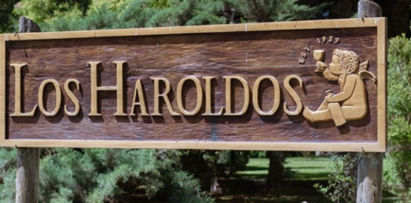 Bodega Los Haroldos emitió deuda para financiar proyectos “verdes”