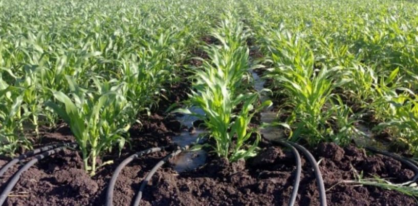 Banco Galicia alienta la agricultura sustentable