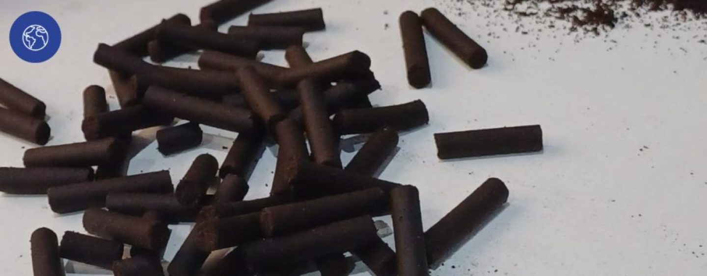 Crean pellets con el reciclado de café post consumo