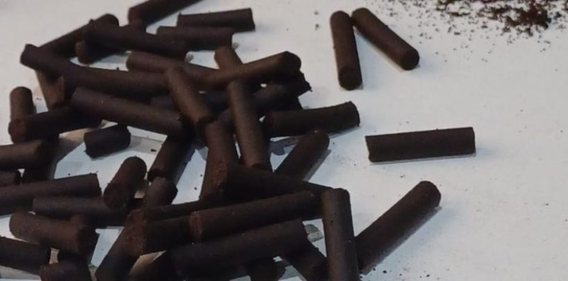 Crean pellets con el reciclado de café post consumo