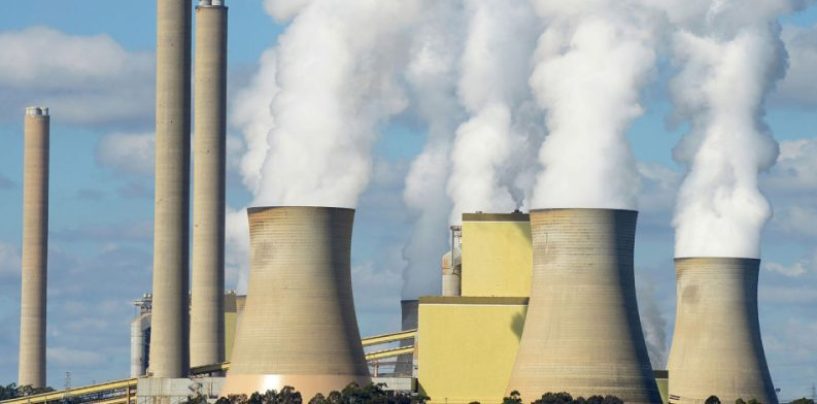¿Estamos listos para la transformación ecológica?