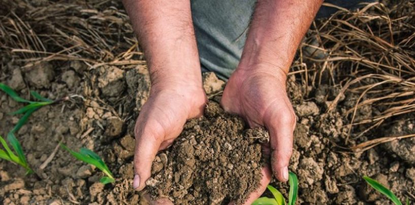 El agro se suma a la Mesa Argentina de Carbono