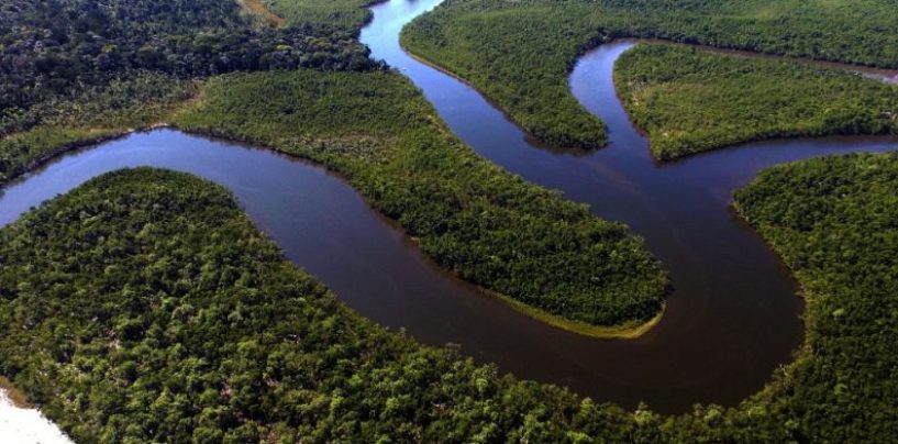 Natura anuncia su estrategia de regeneración social y ambiental