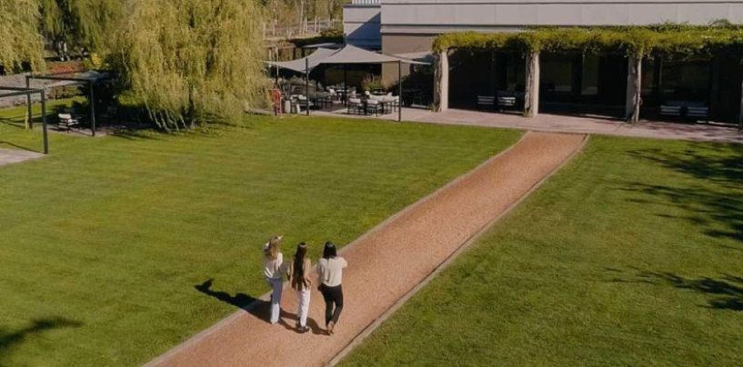 Llega B-Fest: las siete bodegas B de Mendoza vuelven a encontrarse en un encuentro de triple impacto