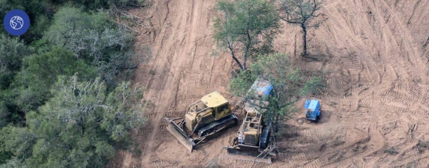 Los desmontes en el norte superaron las 100.000 hectáreas en lo que va del año