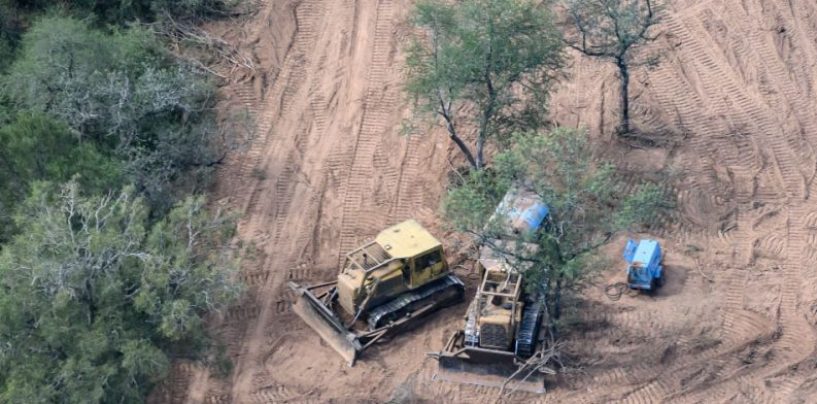 Los desmontes en el norte superaron las 100.000 hectáreas en lo que va del año