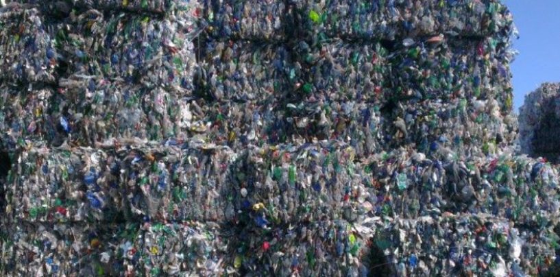 Dow, Celsur y Delterra se unen para conectar puntos clave de la cadena de reciclado plástico