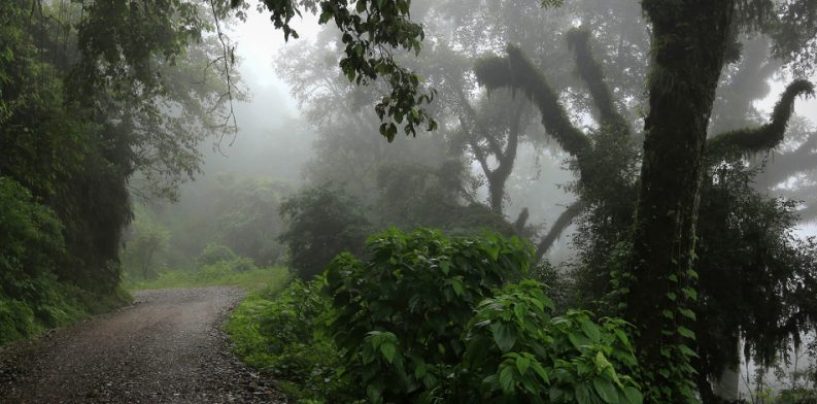 Ledesma expuso su caso de cuidado a la biodiversidad en la COP16