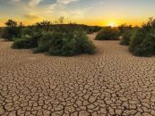 COP16 de Desertificación: con avances, pero sin el esperado acuerdo sobre sequía