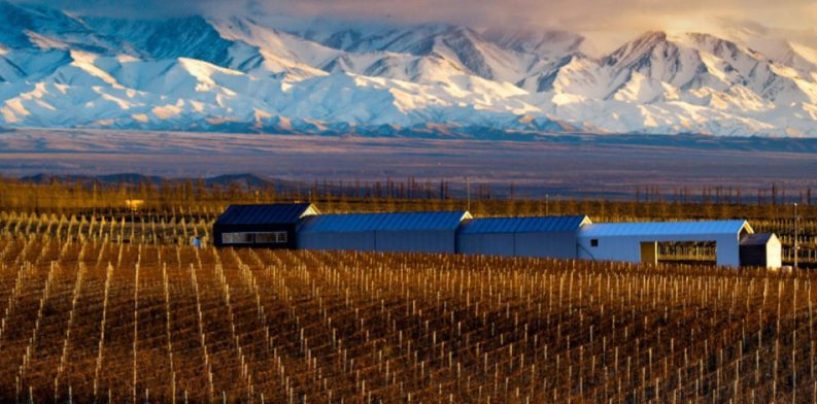 Turismo Sostenible en Mendoza: El nuevo rostro del lujo