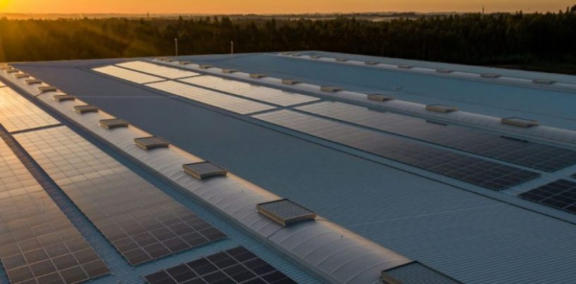 Nos Mueve el Sol, presente en RE+ 2025: innovación, liderazgo y expansión en la industria fotovoltaica
