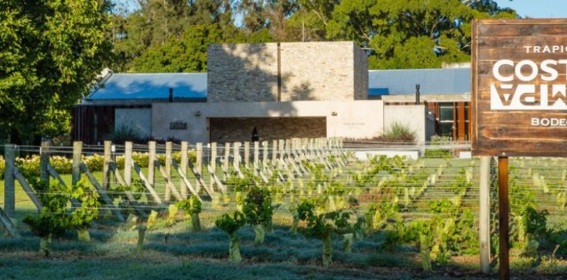 Trapiche Costa & Pampa: la única bodega en Buenos Aires en obtener una certificación por sus prácticas sustentables