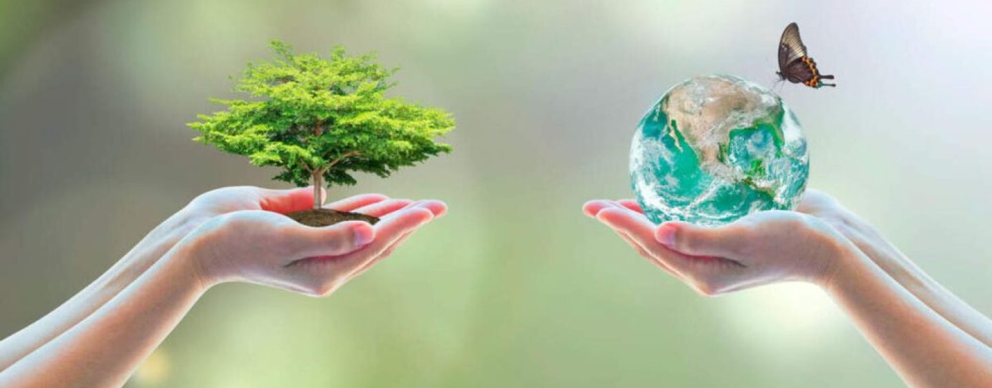 22 de mayo,  Día de la Biodiversidad: invertir en la naturaleza
