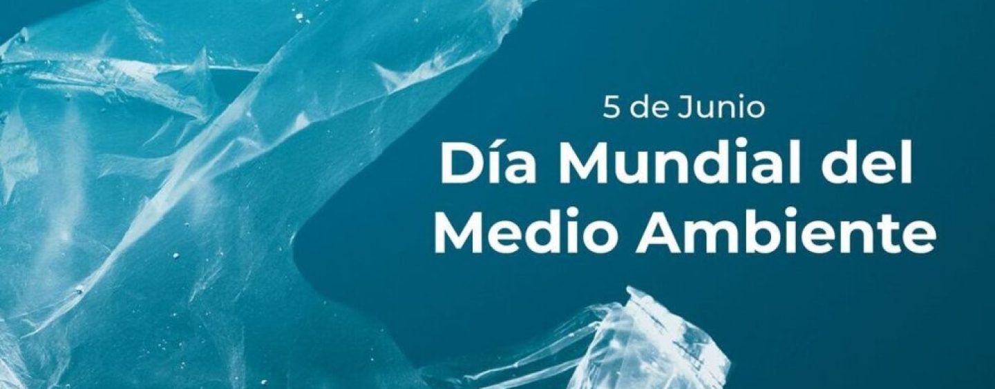 5 de junio – Día Mundial del Medio Ambiente