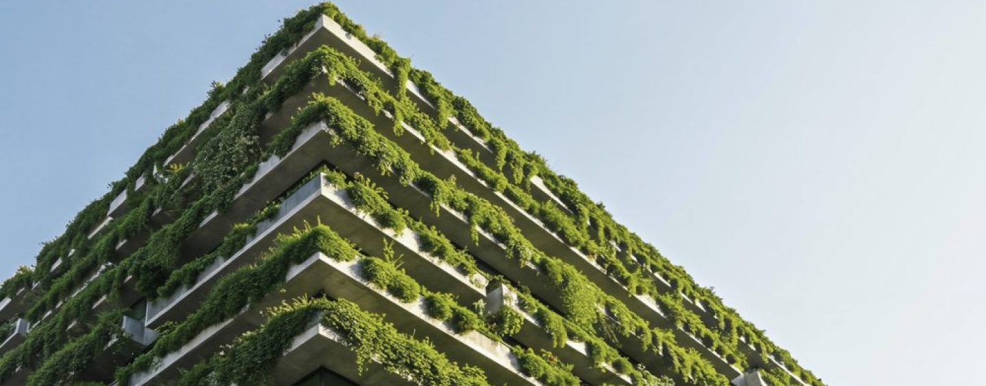 Sectores de la construcción y la industria manufacturera avanzan en acciones sustentables