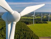 La energía eólica rompe récords y lidera un semestre histórico para las renovables