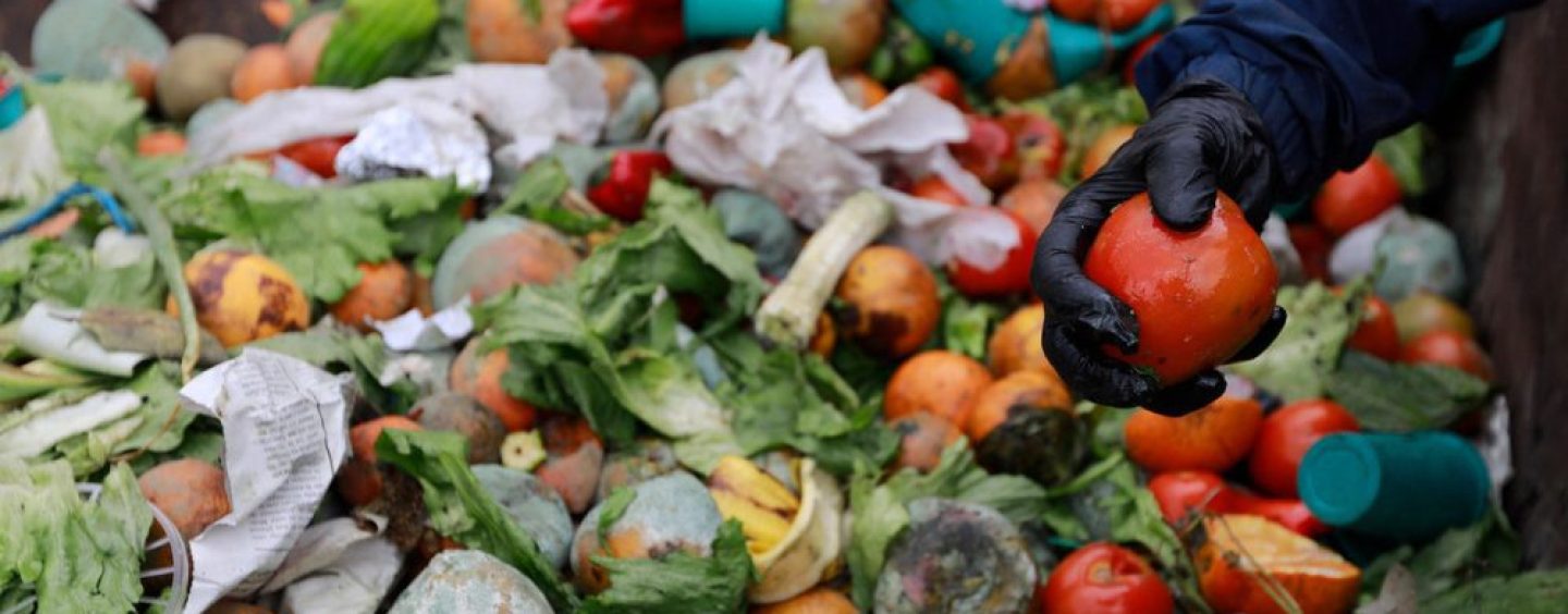 Desperdicio de alimentos, un problema que acelera el cambio climático