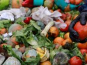 Desperdicio de alimentos, un problema que acelera el cambio climático