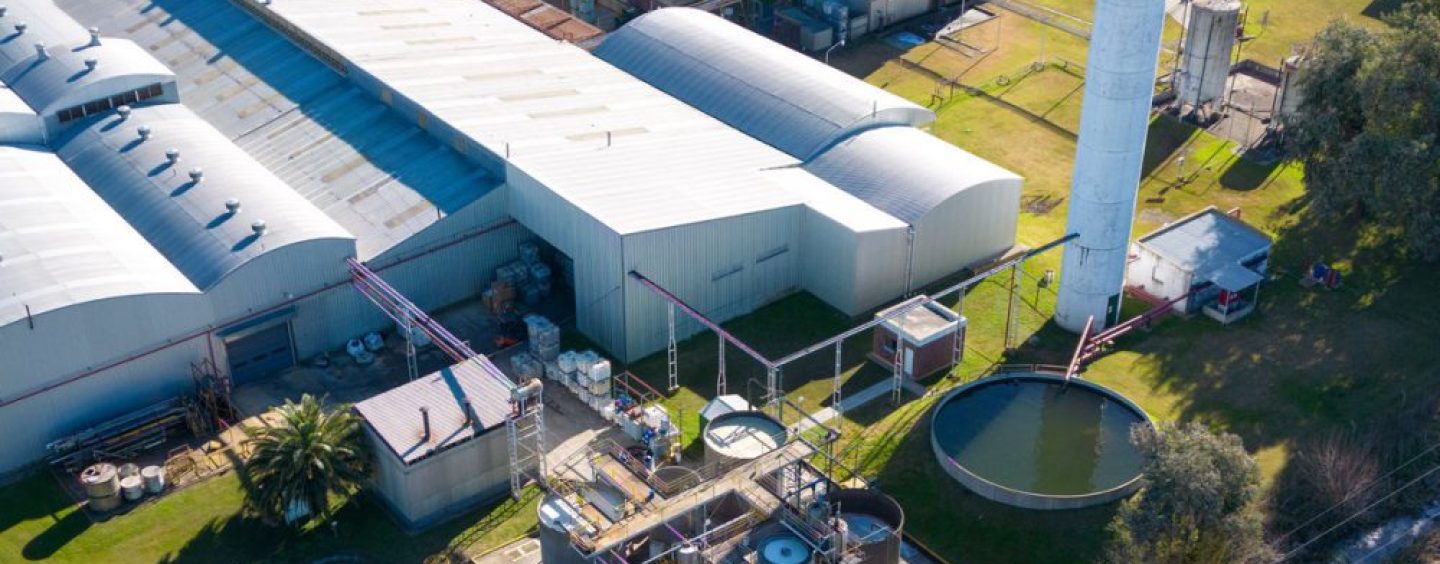 Henkel Argentina ya redujo su huella de carbono en más del 40%