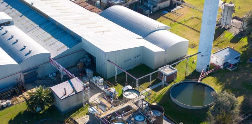Henkel Argentina ya redujo su huella de carbono en más del 40%