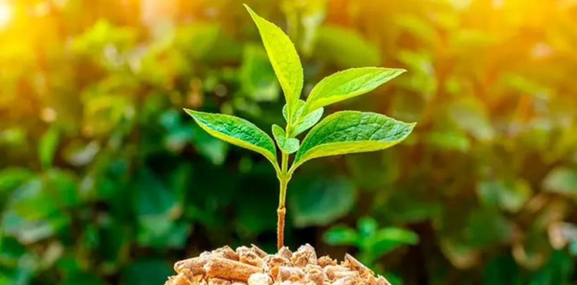 El uso de bioinsumos en Argentina registra un crecimiento interanual del 10,9%