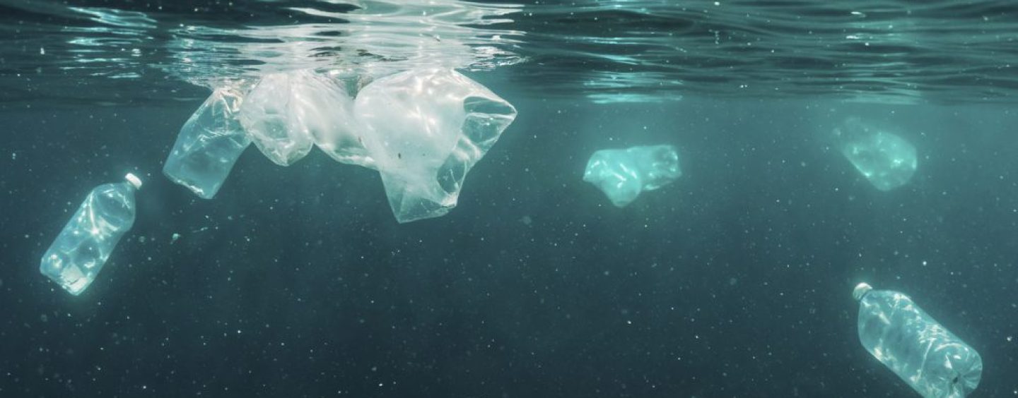 Argentina consume 42,7 kilos de plástico por año y la mayoría termina en el mar