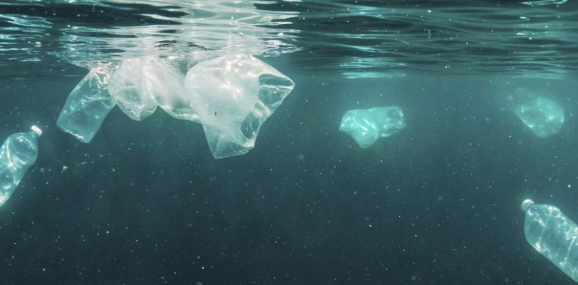 Argentina consume 42,7 kilos de plástico por año y la mayoría termina en el mar