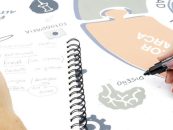 Convocatoria: una PyME recibirá un diagnóstico estratégico gratuito en sostenibilidad