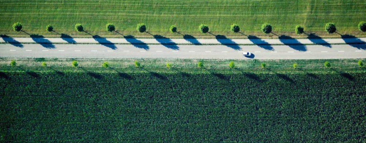 Astara avanza en su hoja de ruta sostenible hacia el Net Zero en 2045