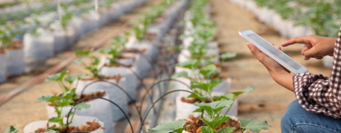 NEC y ClimateAi promueven la adaptación al cambio climático en la agricultura