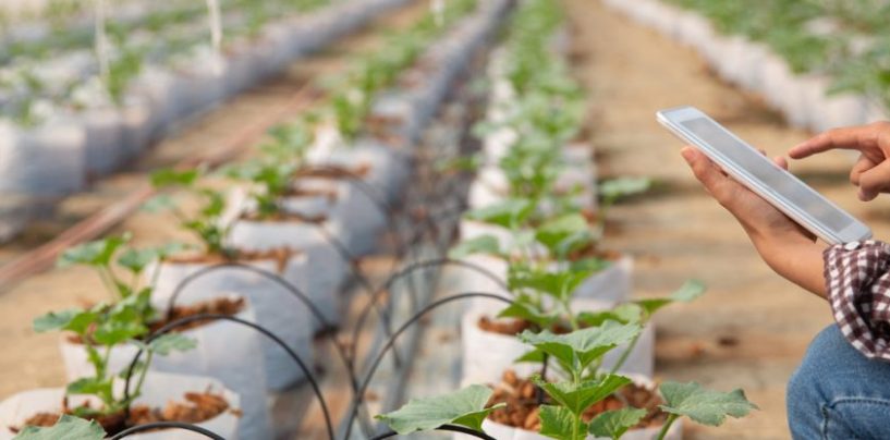 NEC y ClimateAi promueven la adaptación al cambio climático en la agricultura