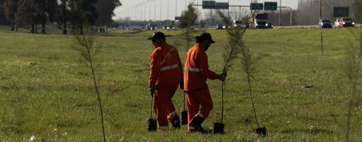 Autopistas del Sol y Autopistas del Oeste: apuesta a la biodiversidad
