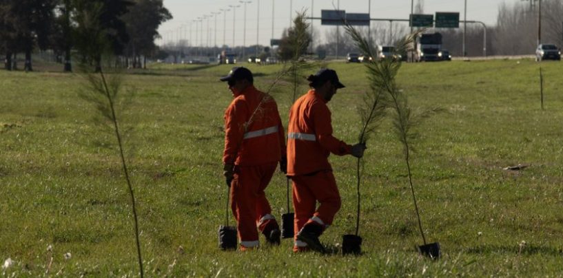Autopistas del Sol y Autopistas del Oeste: apuesta a la biodiversidad