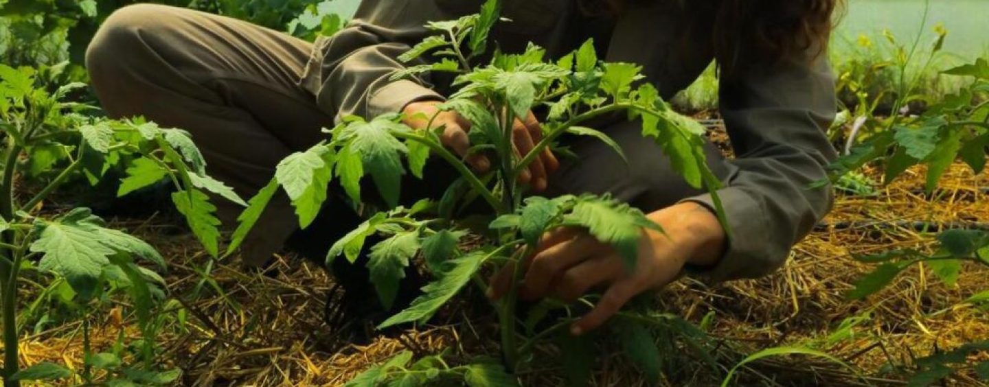 La Pebeta: una granja viva en un entorno natural que también se destaca por su cocina