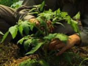 La Pebeta: una granja viva en un entorno natural que también se destaca por su cocina