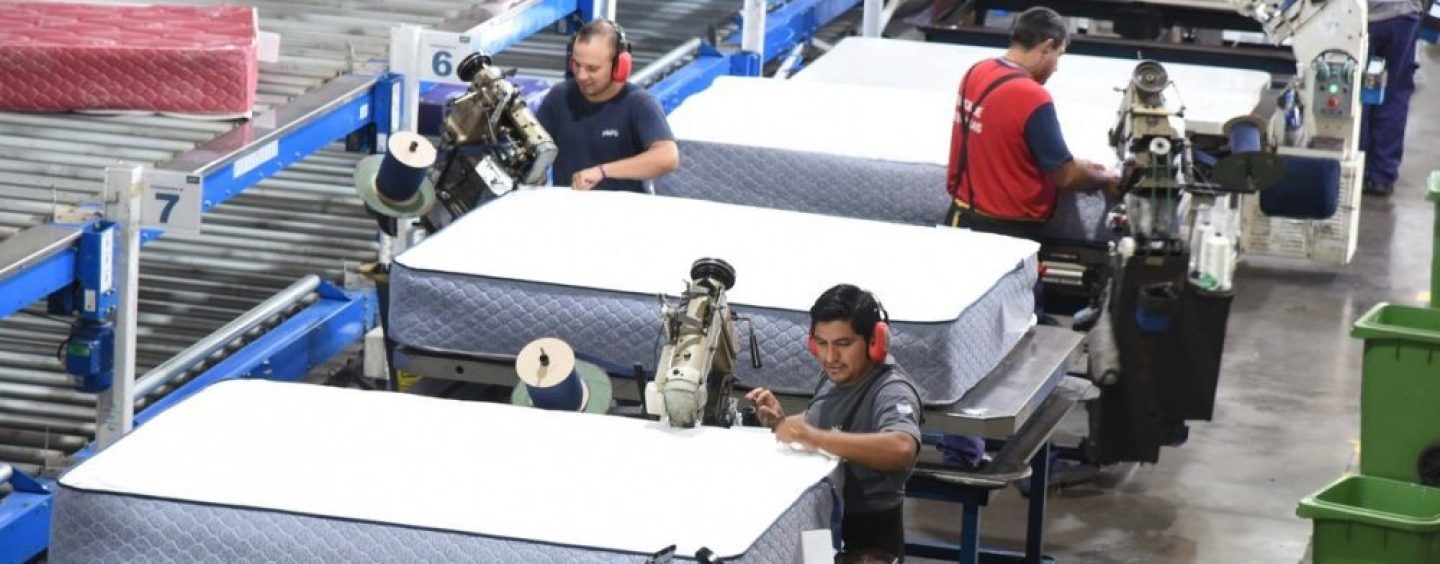 Gestión de Triple Impacto: Bitali presenta su Reporte de Sustentabilidad 2024