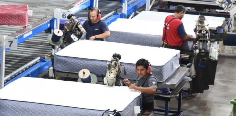 Gestión de Triple Impacto: Bitali presenta su Reporte de Sustentabilidad 2024