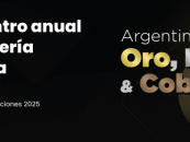 Argentina Oro, Plata y Cobre 2025