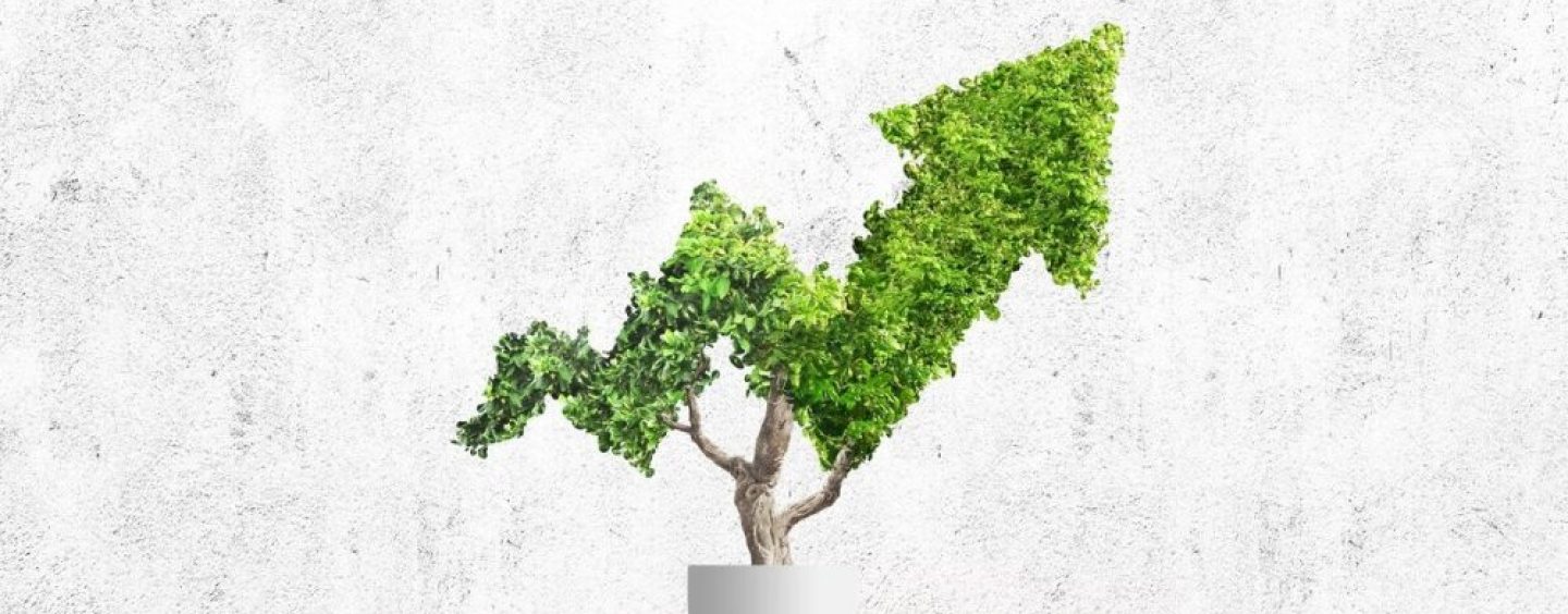 Este año, 54 compañías argentinas certificaron como Empresas B